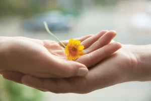 Optimal Health Solutions: Your Gateway to Wellness